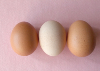 What are the benefits of egg whites on the skin? 
